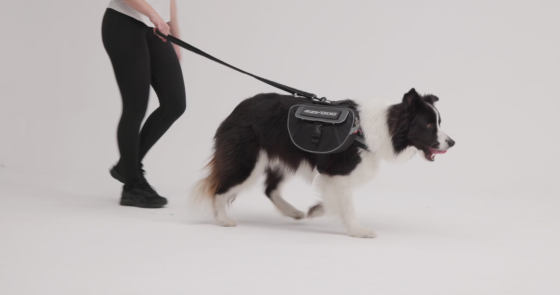 EzyDog Convert Dog Saddle Bags