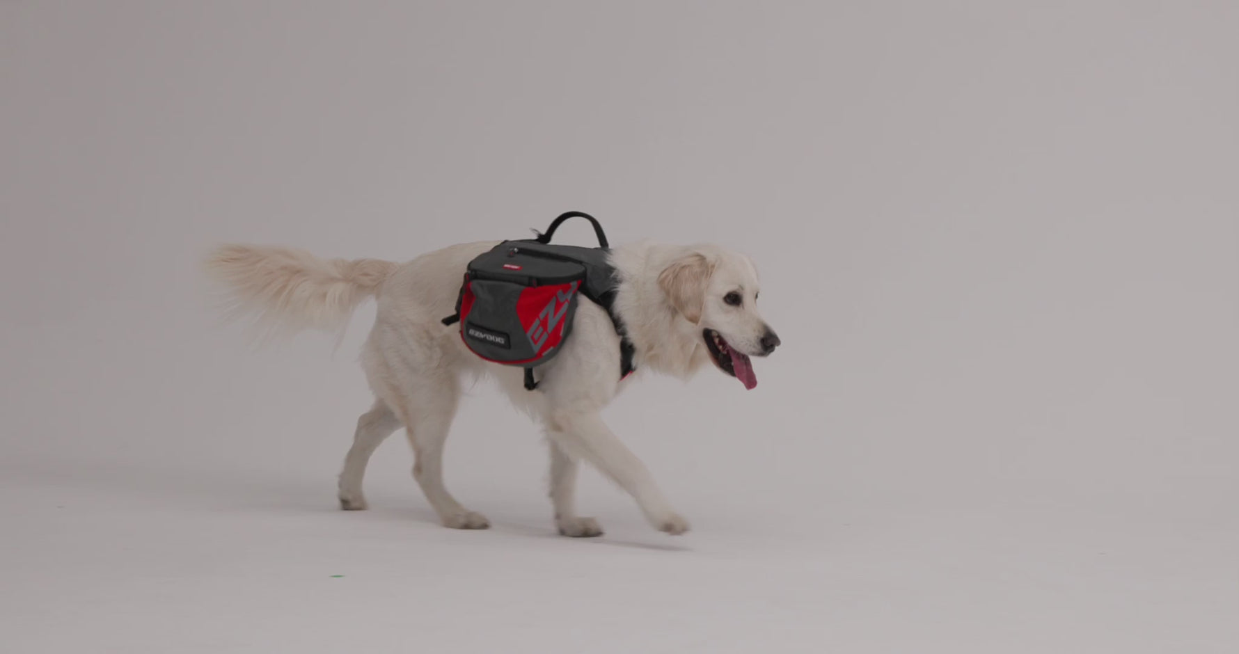 EzyDog Summit Dog Backpack