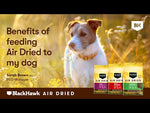 Black Hawk Air Dried Chicken Adult Dog Food