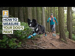 Ruffwear Hi & Light Trail Dog Shoes