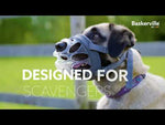 Baskerville Invisa Muzzle