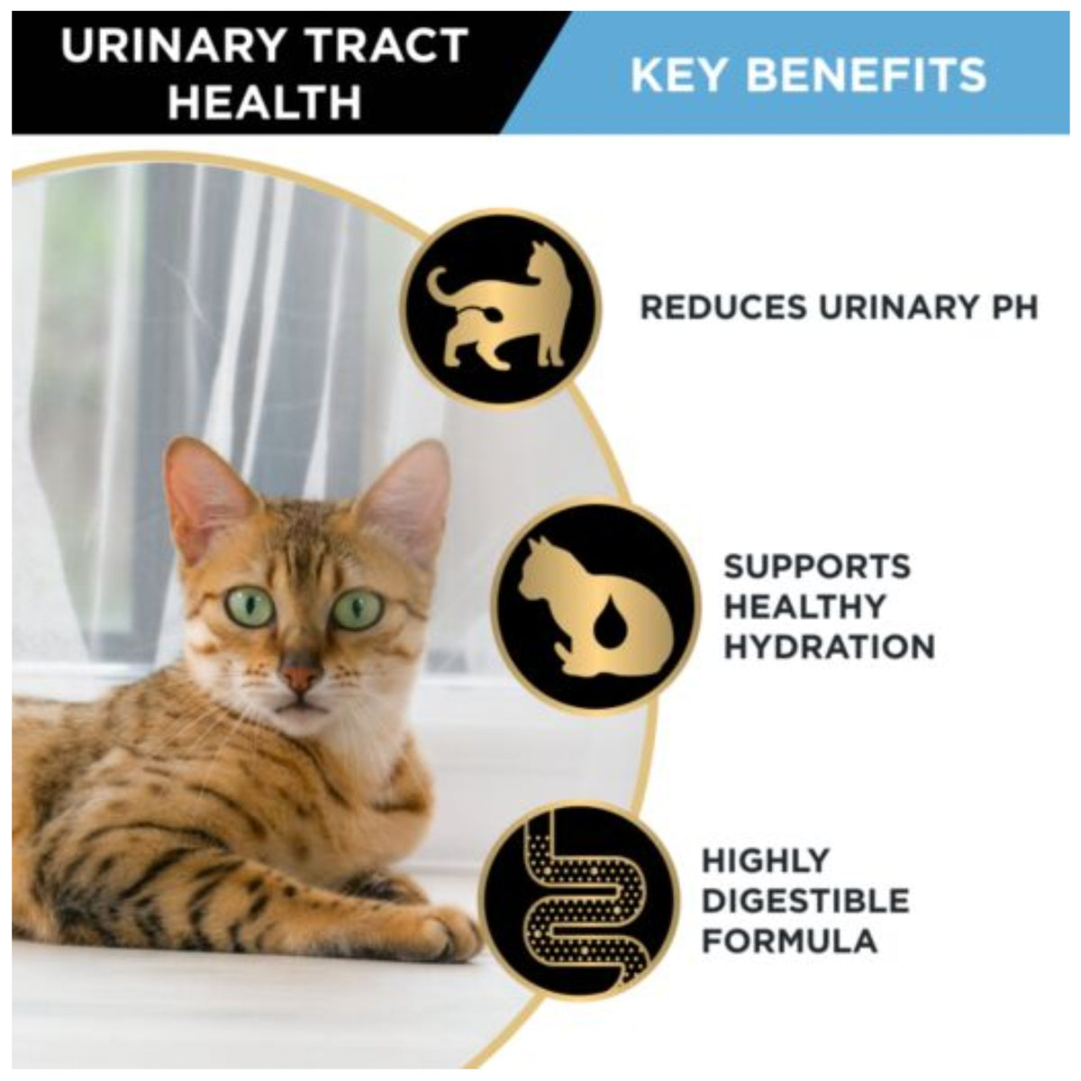 PRO PLAN Urinary Tract Health Variety Pack Wet Cat Food 85g x 24