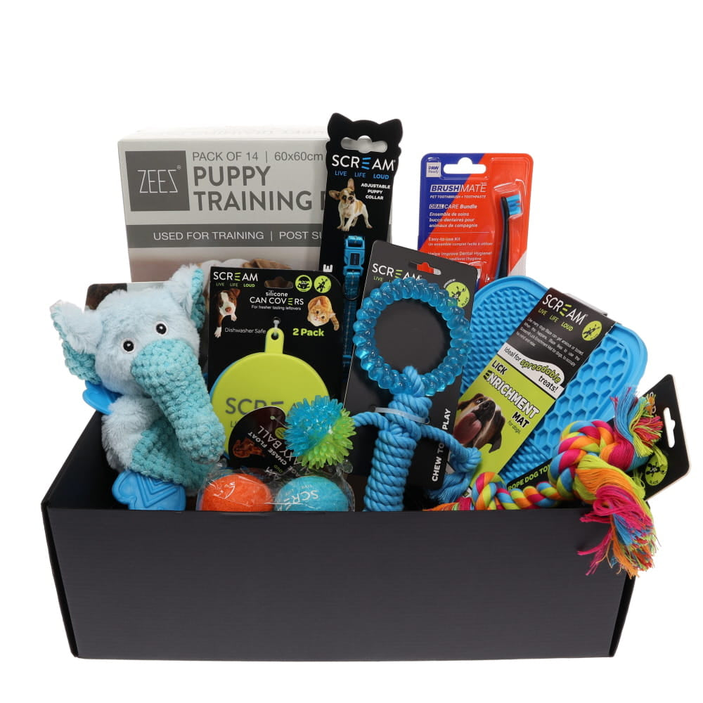 Prestige Pet Puppy Gift Pack