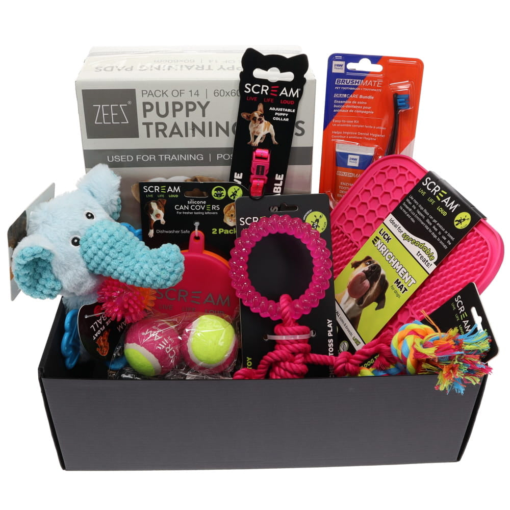 Prestige Pet Puppy Gift Pack