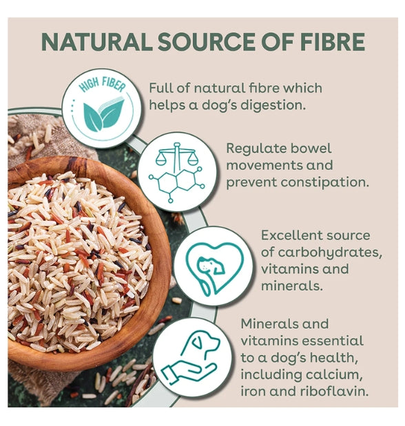 Pure Life Freeze-Dried Raw-Coated Kibble Lamb & Kangaroo for Adult Dogs