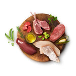 Animals Like Us RawMix50 with Ocean Fish Dry Dog Food