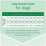 Raw4Paws Lamb Raw Diet for Dogs (Frozen - Pickup Only)