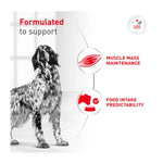 Royal Canin Veterinary Diet Glycobalance