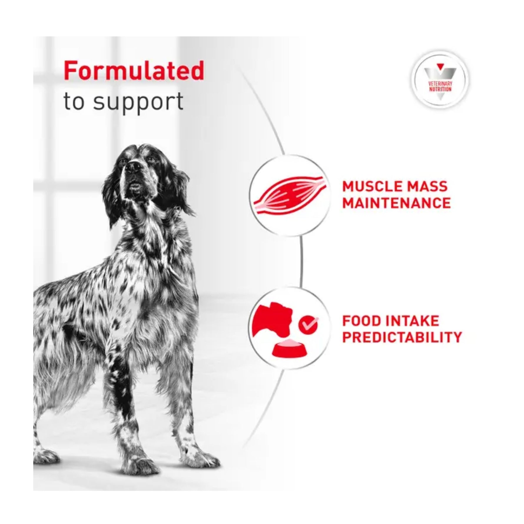 Royal Canin Veterinary Diet Glycobalance
