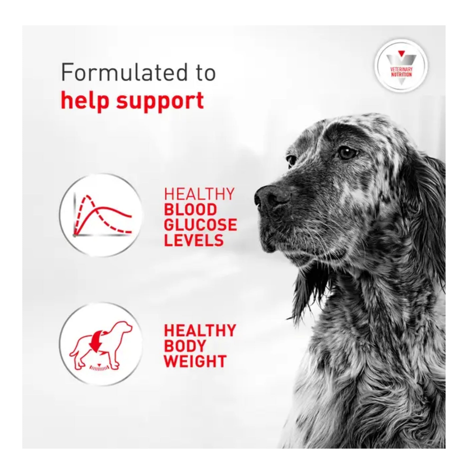 Royal Canin Veterinary Diet Glycobalance