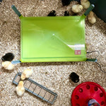 Caleo Chicken Brooder Heating Plate