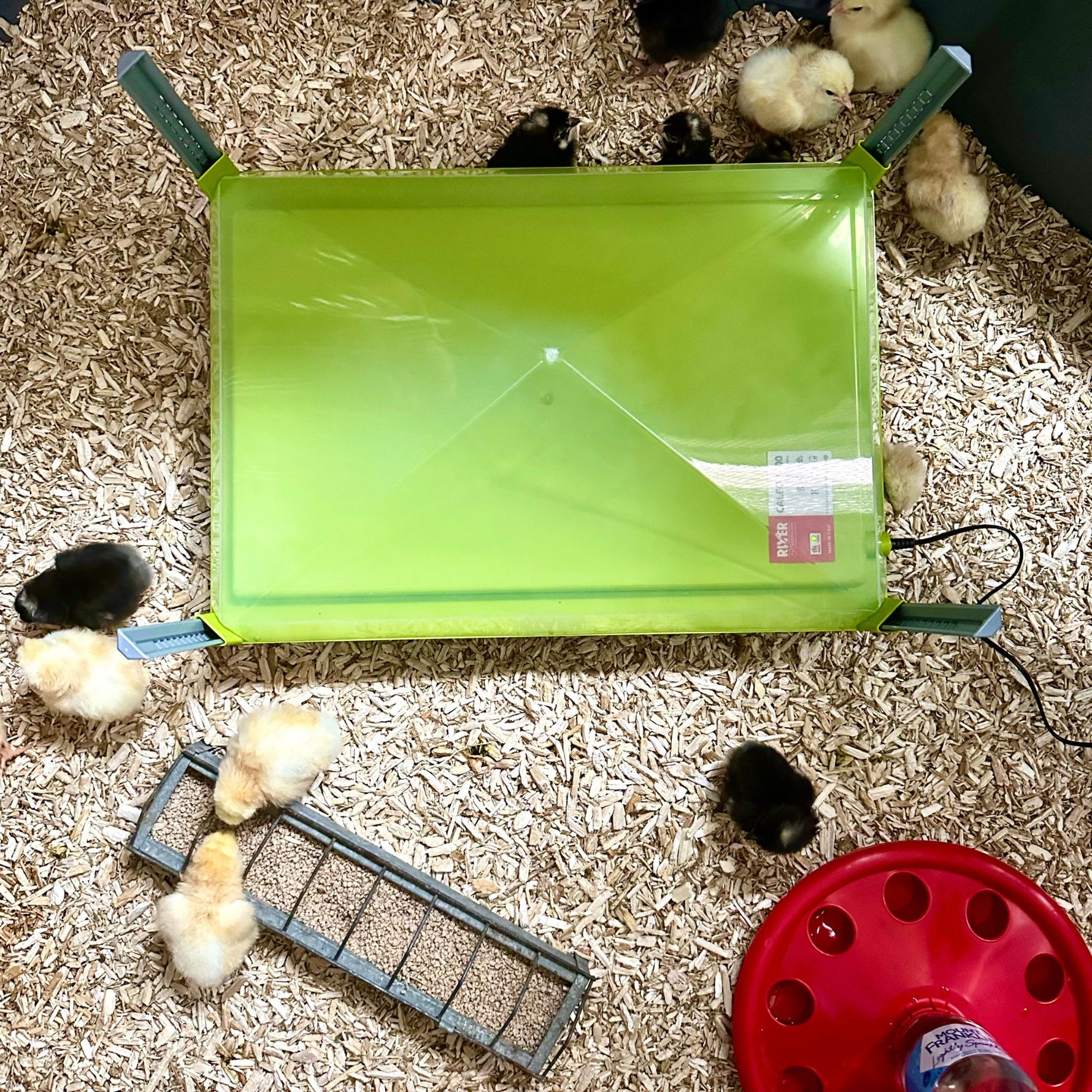 Caleo Chicken Brooder Heating Plate