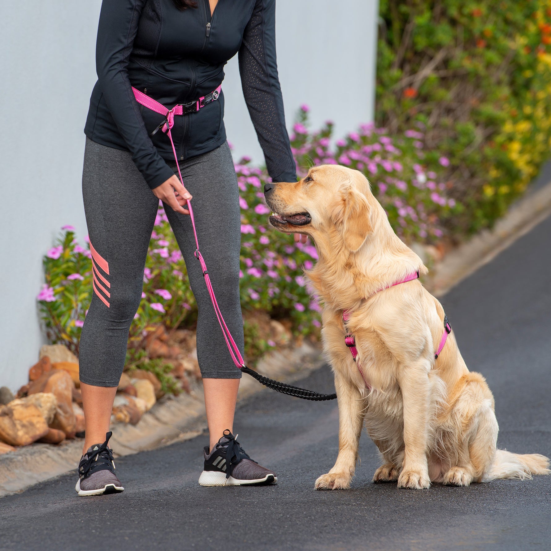 Rogz Utility Handsfree Lead