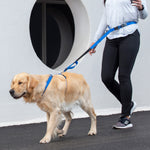 Rogz Utility Handsfree Lead