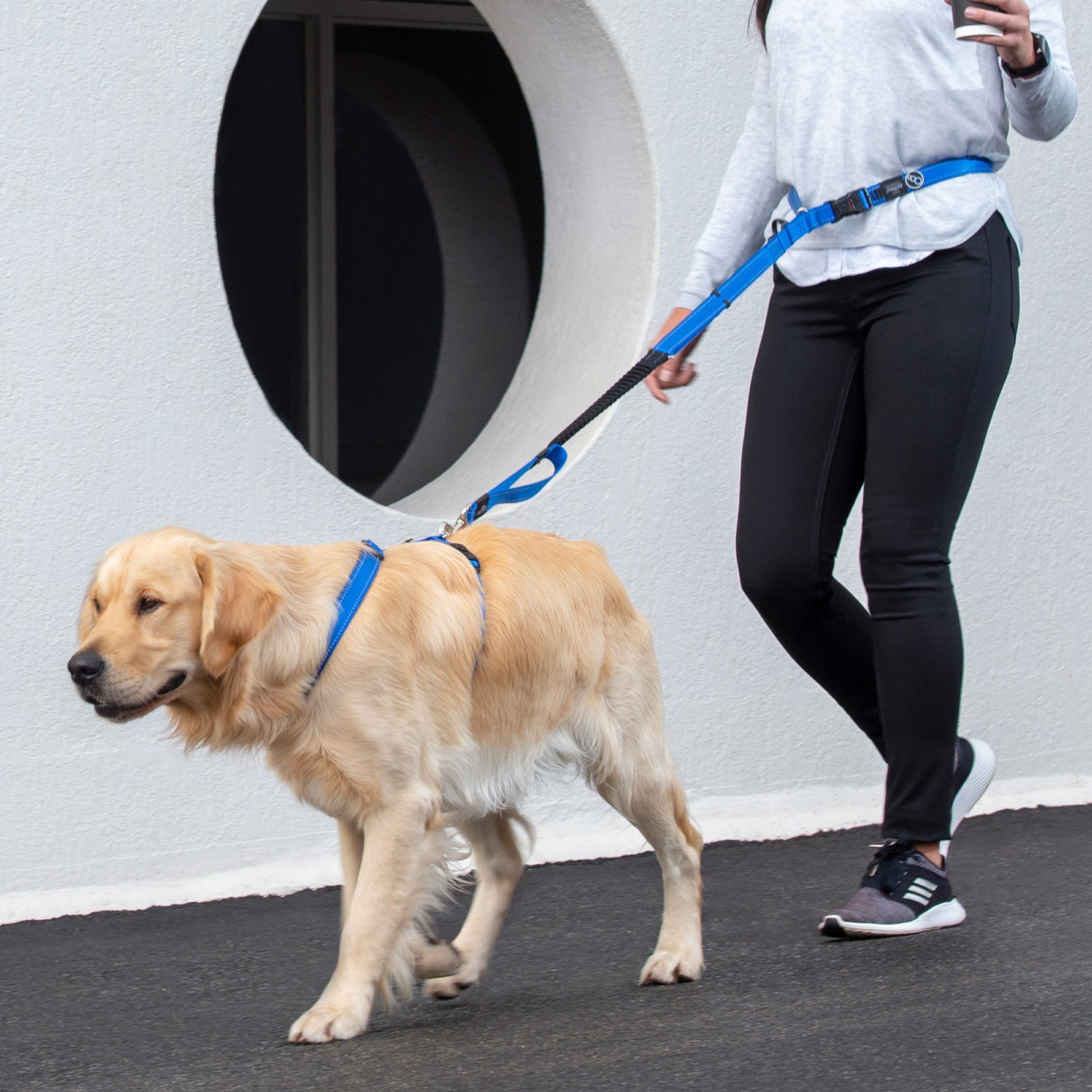 Rogz Utility Handsfree Lead