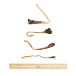 Bark & Beyond Roo Tendons - 6 Pieces