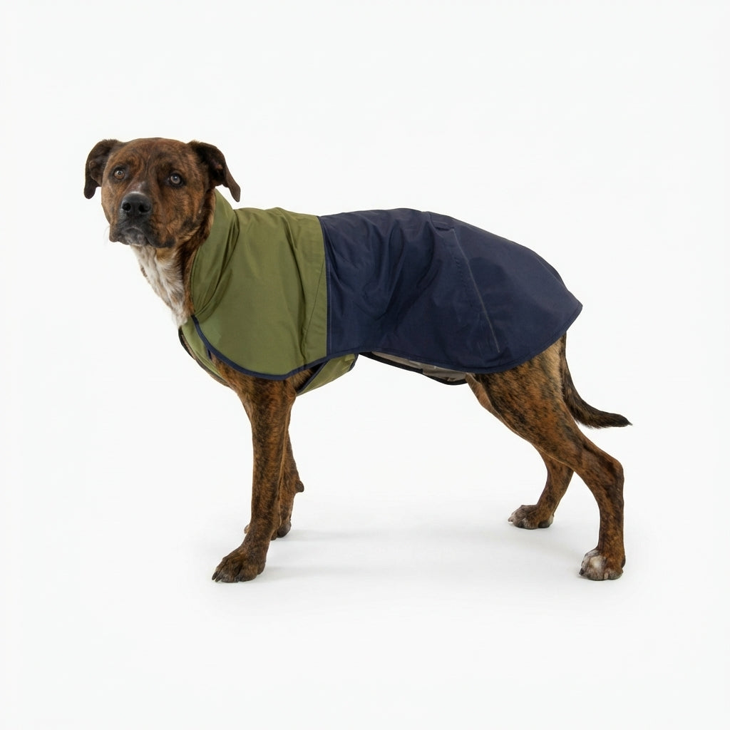 Ruffwear Sun Shower Dog Raincoat