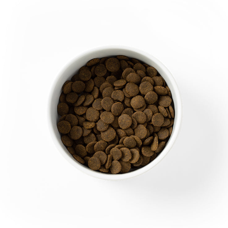 SavourLife Care Plus Grain Free Sensitive with Australian Ocean Fish Adult Dog Food