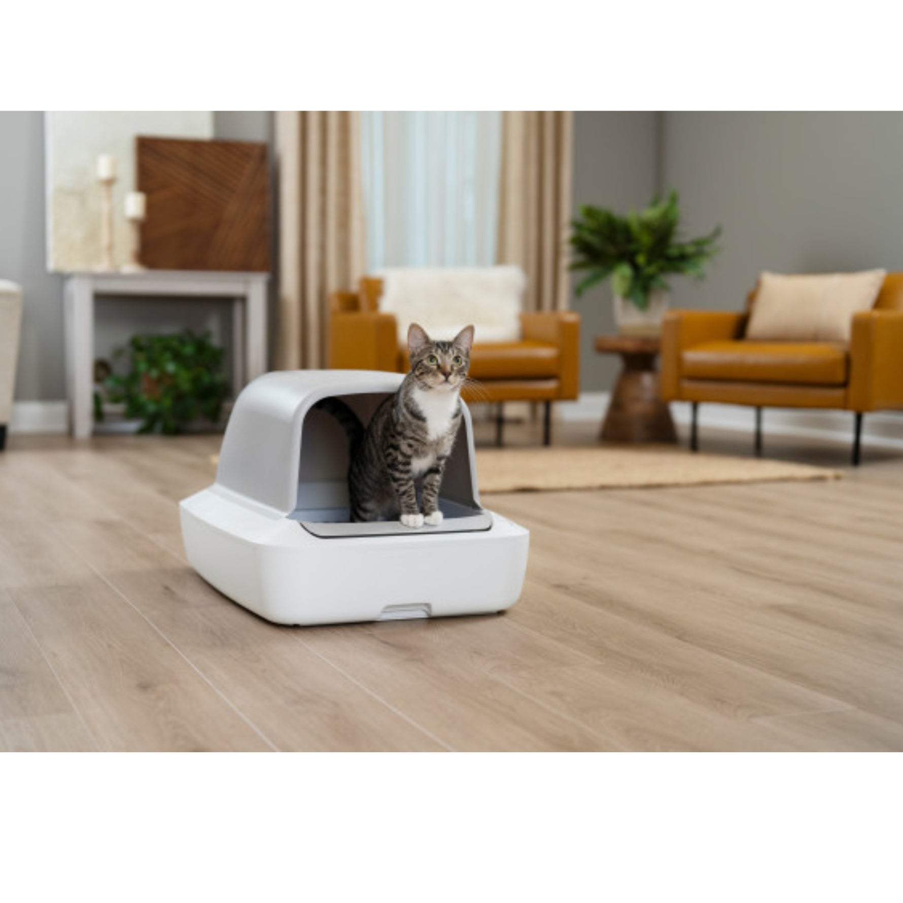 ScoopFree Crystal Pro Self-Cleaning Litter Box