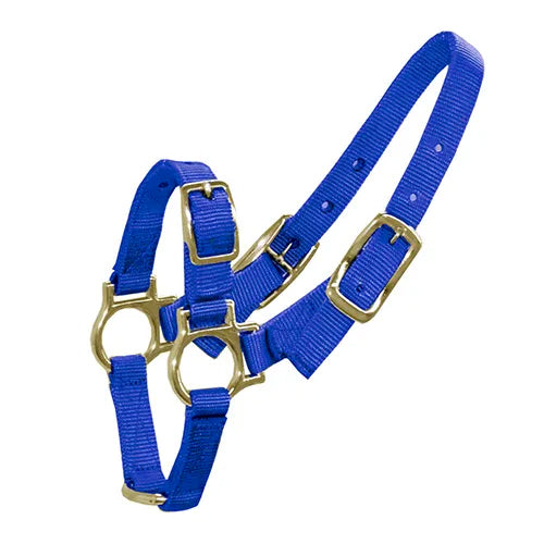 Sheep/Goat Halter