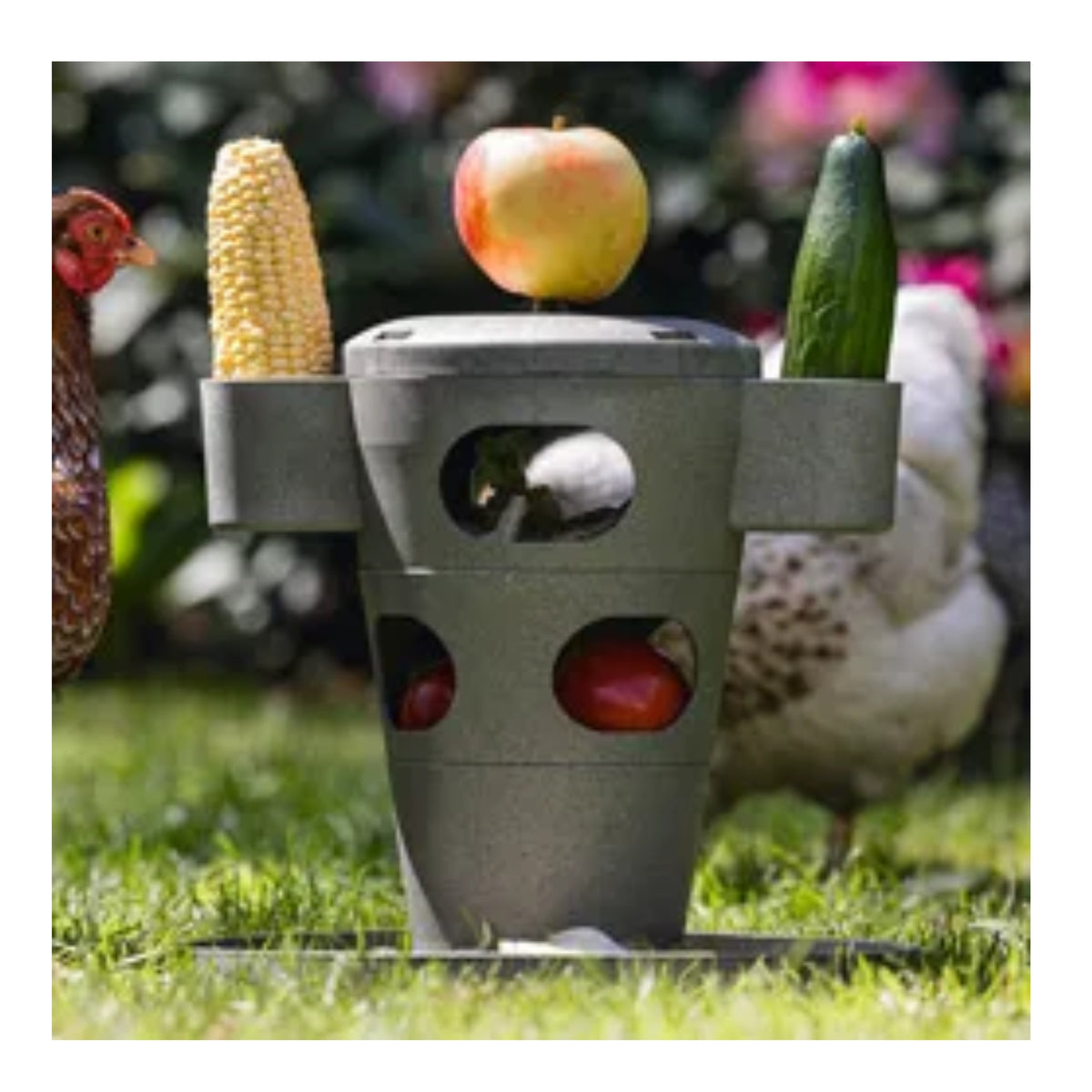 Bainbridge Chicken Playground – 100% Recycled Snack & Feed Tower
