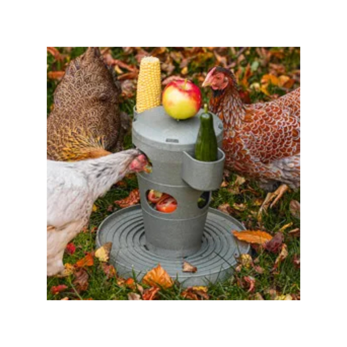 Bainbridge Chicken Playground – 100% Recycled Snack & Feed Tower