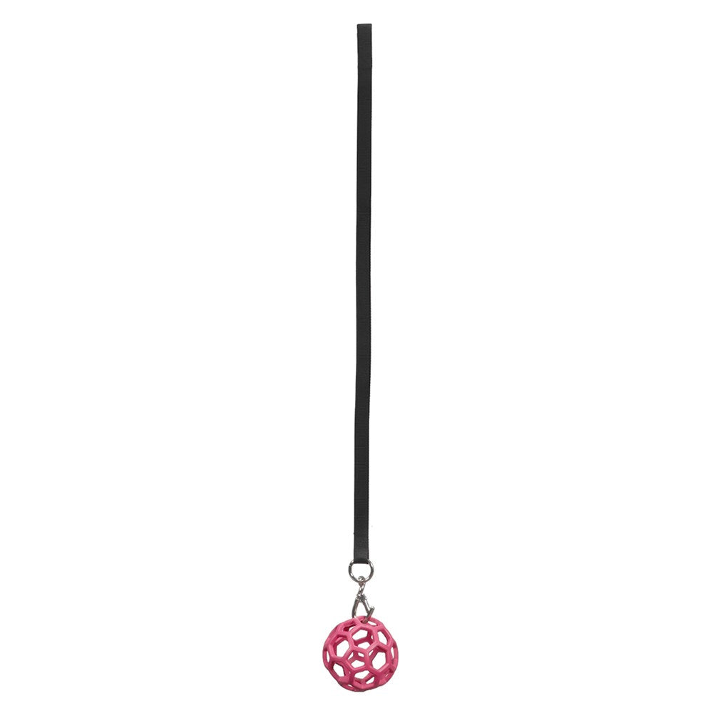 Horsemaster Stable Feed Ball