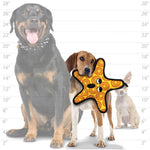 Tuffy Starfish