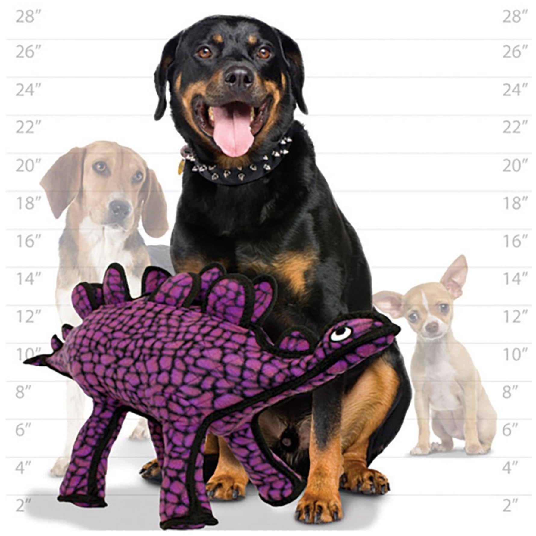 Tuffy Stegosaurus