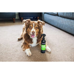 Animology Stink Bomb Deodorising Dog Spray 250mL