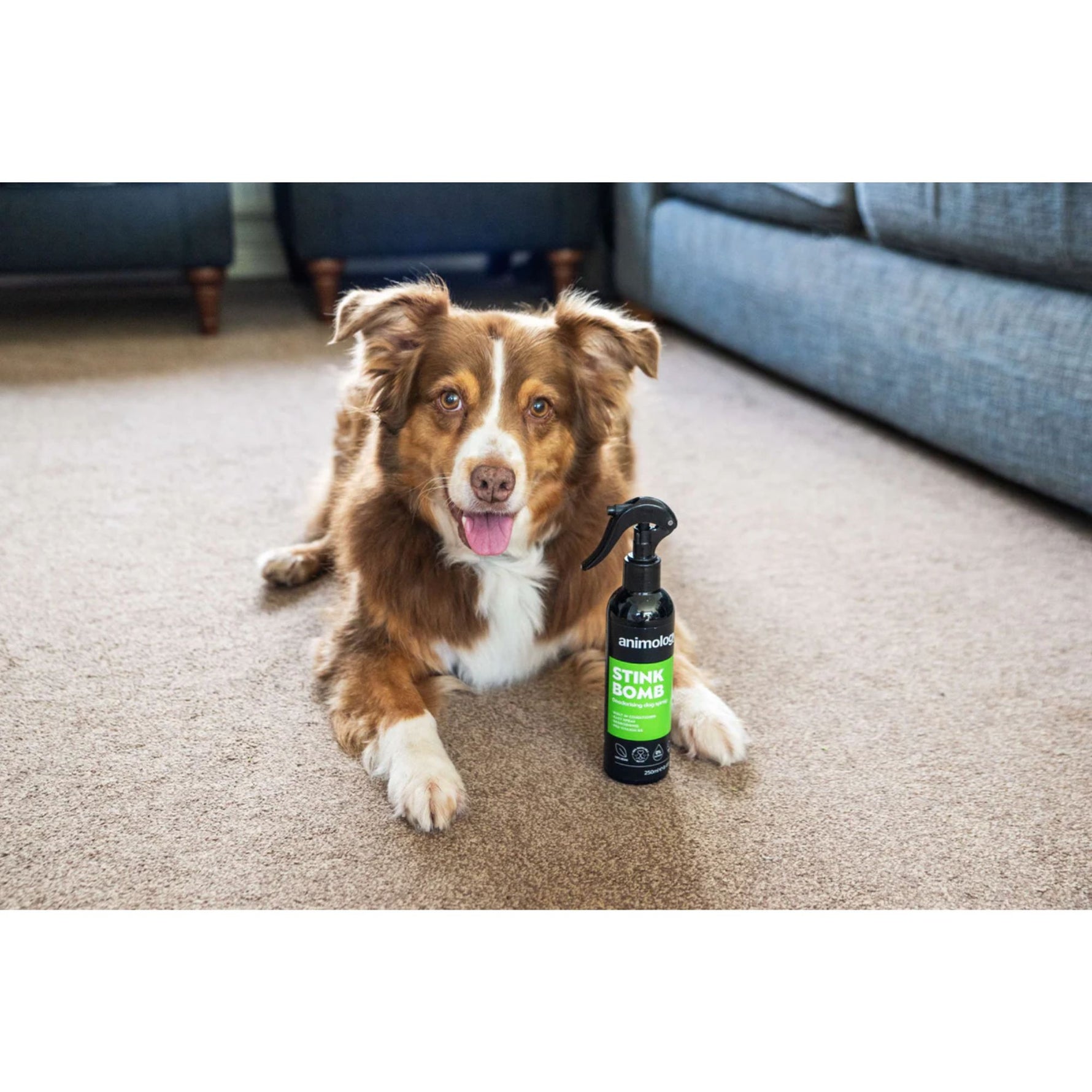 Animology Stink Bomb Deodorising Dog Spray 250mL