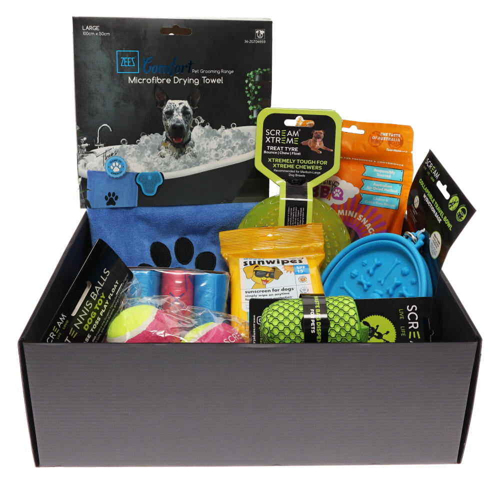 Prestige Pet Summer Dog Gift Pack - Medium/Large