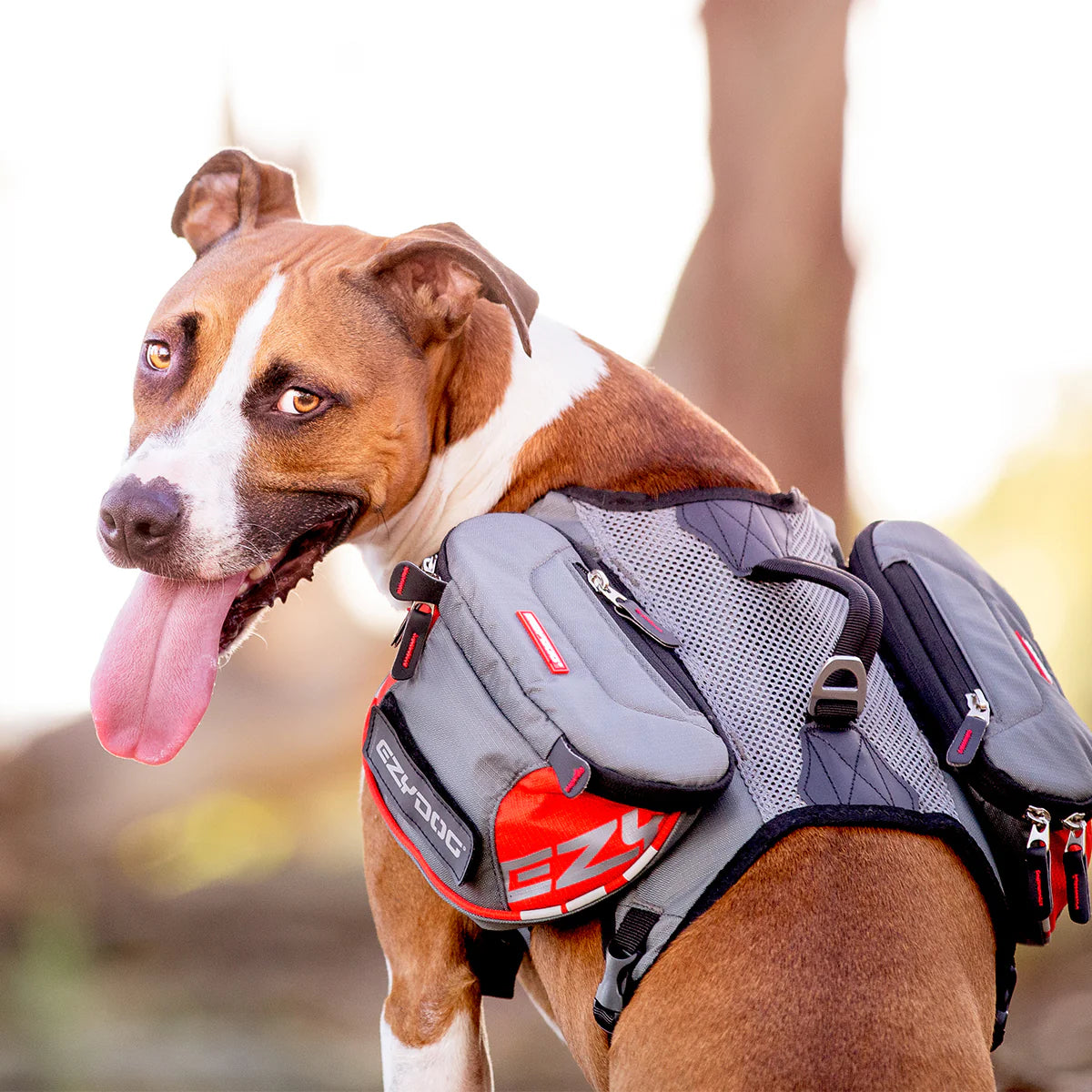 EzyDog Summit Dog Backpack