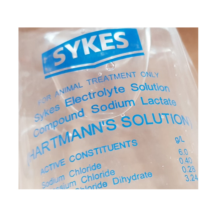 Sykes Hartmann's IV Infusion Solution 1L | vet-n-pet DIRECT