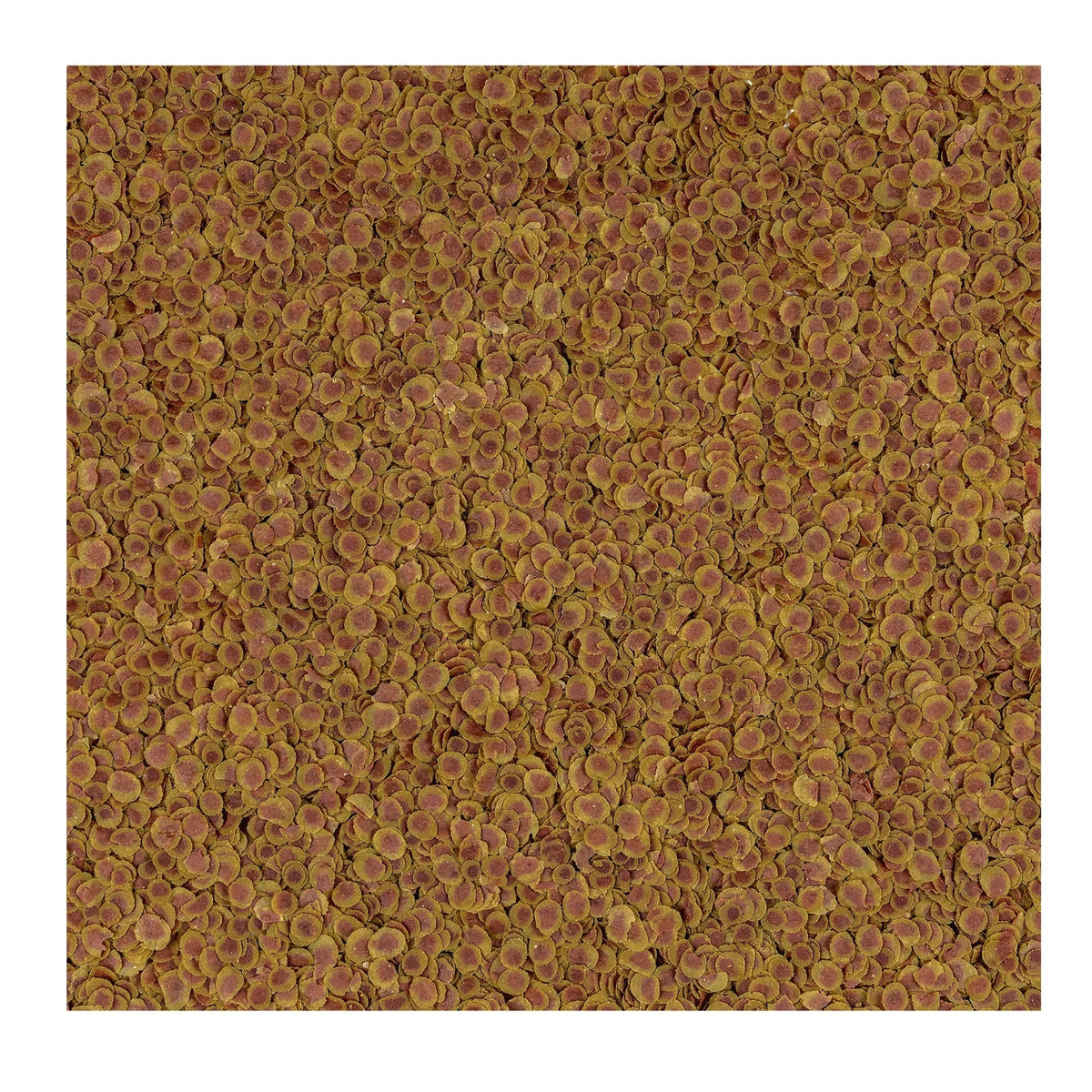 TetraPRO NE Tropical Colour