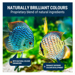 TetraBits NE Tropical Brilliant Colour