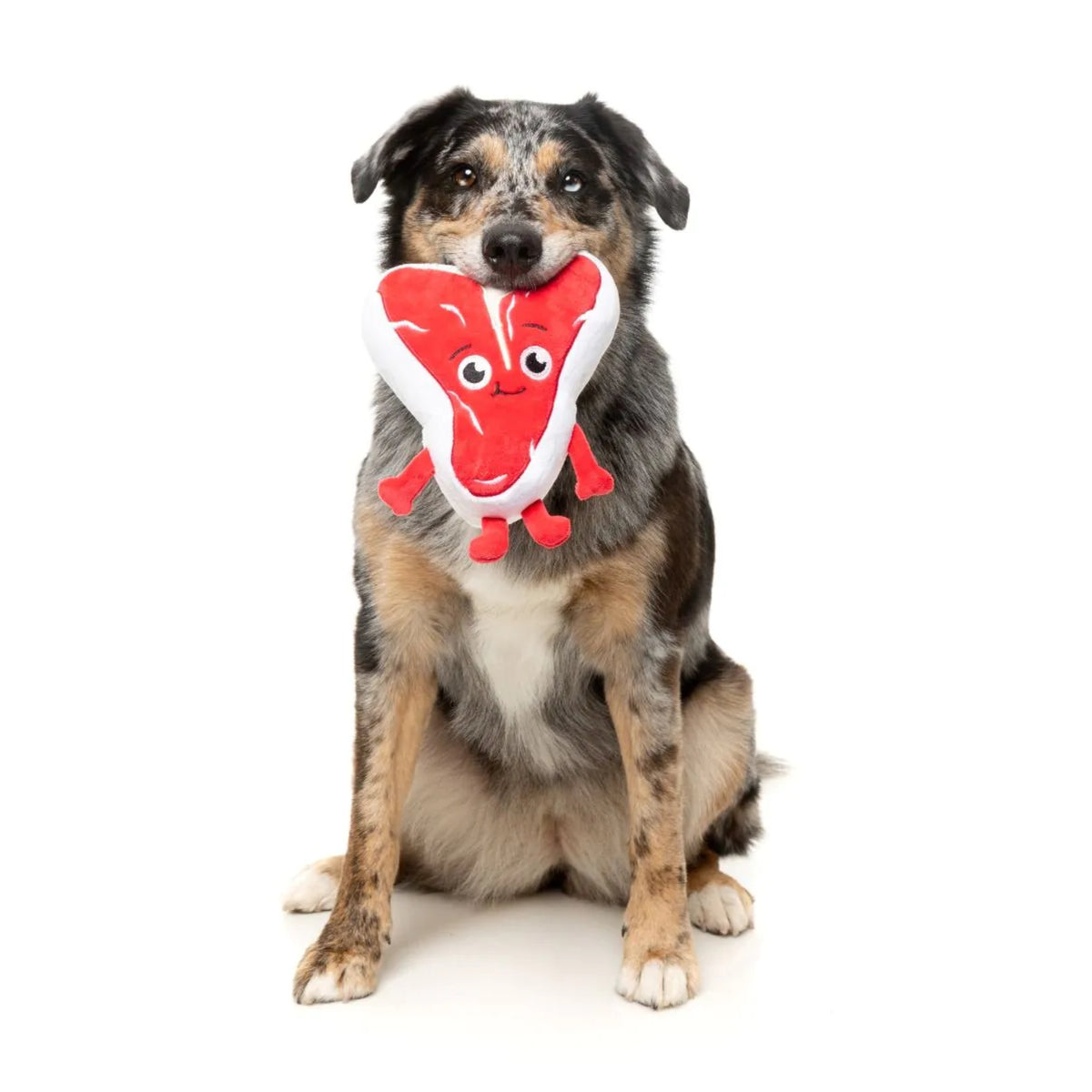 FuzzYard Meat Heads - Tim Tee-Bowne