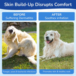 Topizole Medicated Shampoo for Dogs & Cats