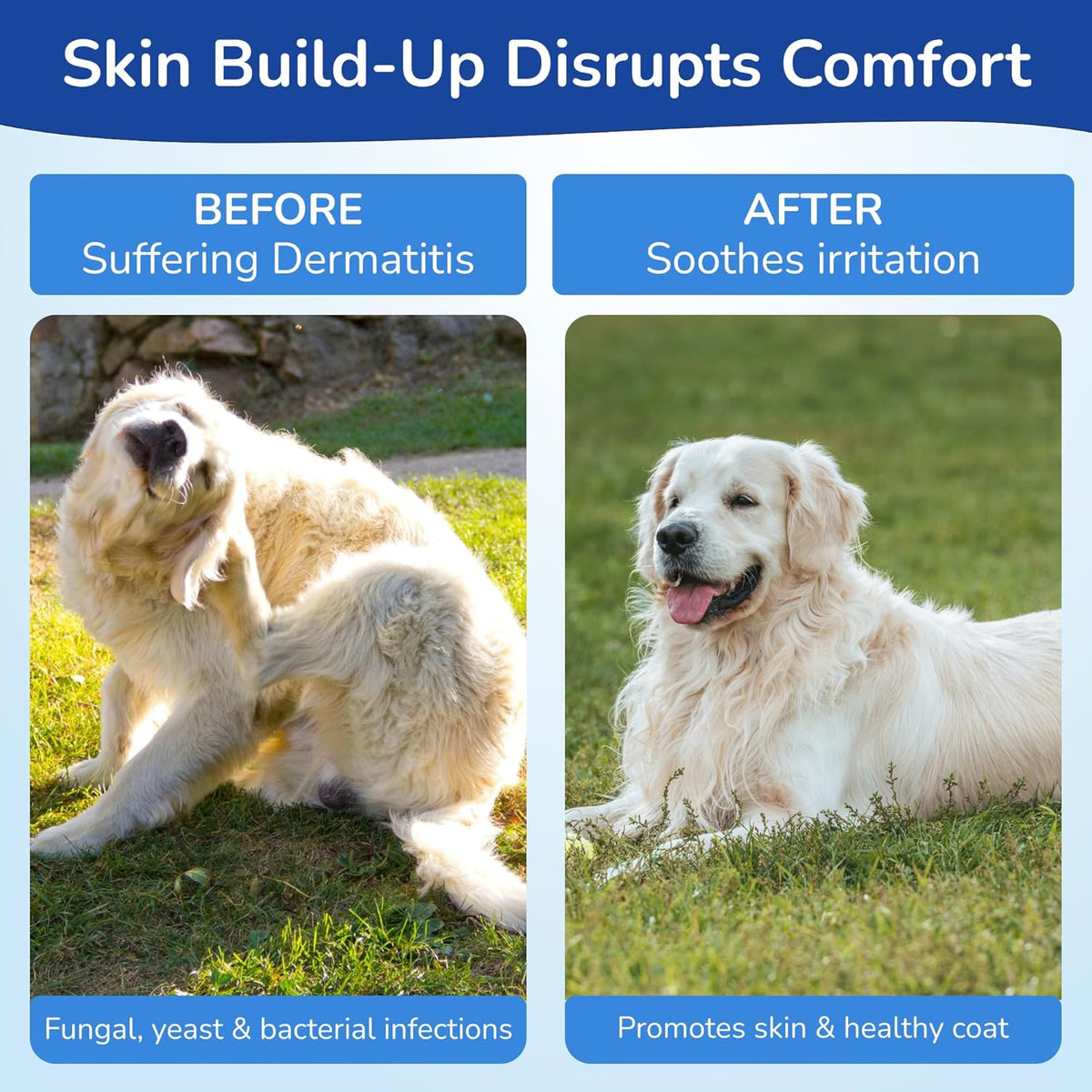 Topizole Medicated Shampoo for Dogs & Cats