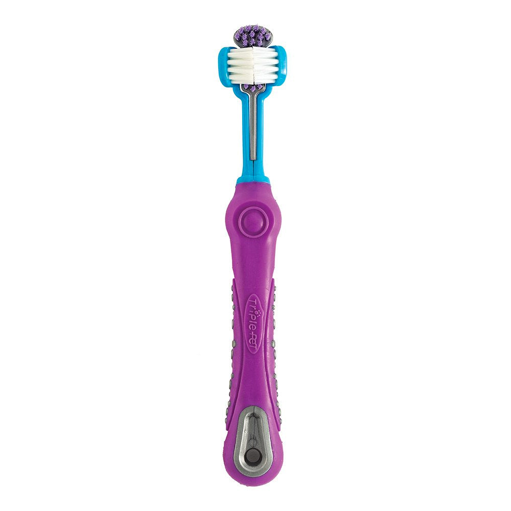 Dog Dental Cleaning