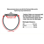 Black Dog Wear Training Collar