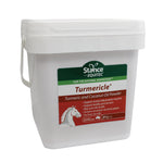 Stance Equitec Turmericle