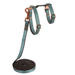 Rogz UrbanCat Control Harness & Lead Set