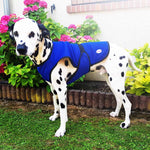 Vetopop Dog Cooling Vest