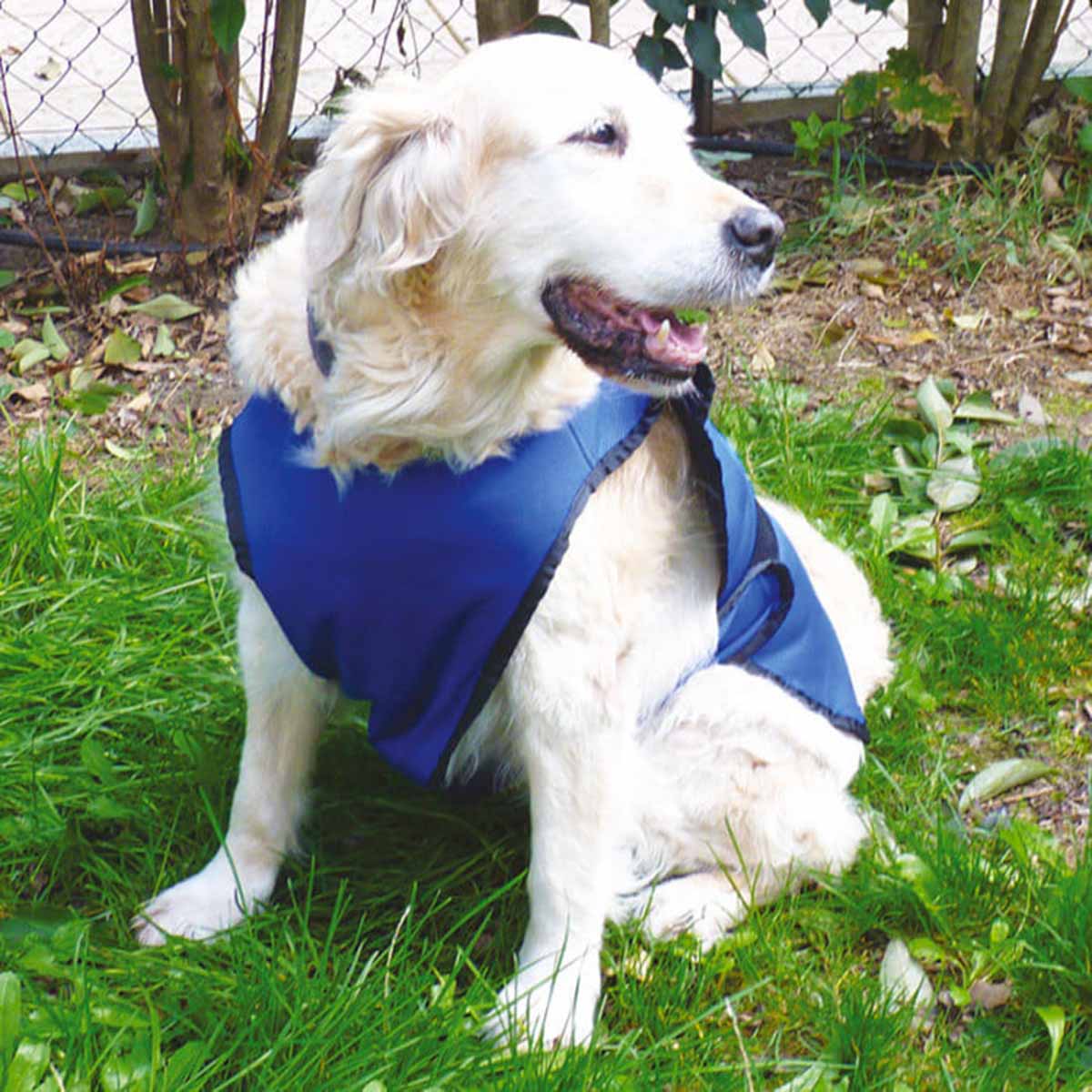 Vetopop Dog Cooling Vest