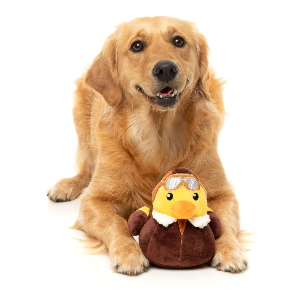 FuzzYard Waddle Squad-dle Amelia Quackhart