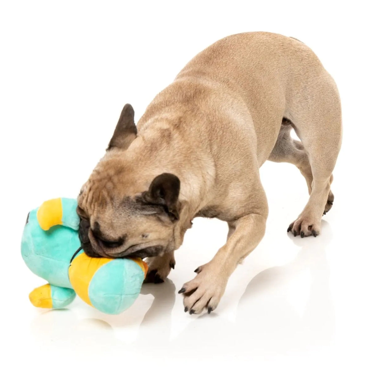 FuzzYard Waddle Squad-dle Ducktor