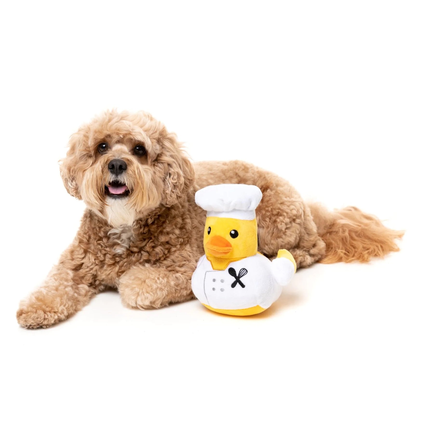 FuzzYard Waddle Squad-dle Gordon Quacksay