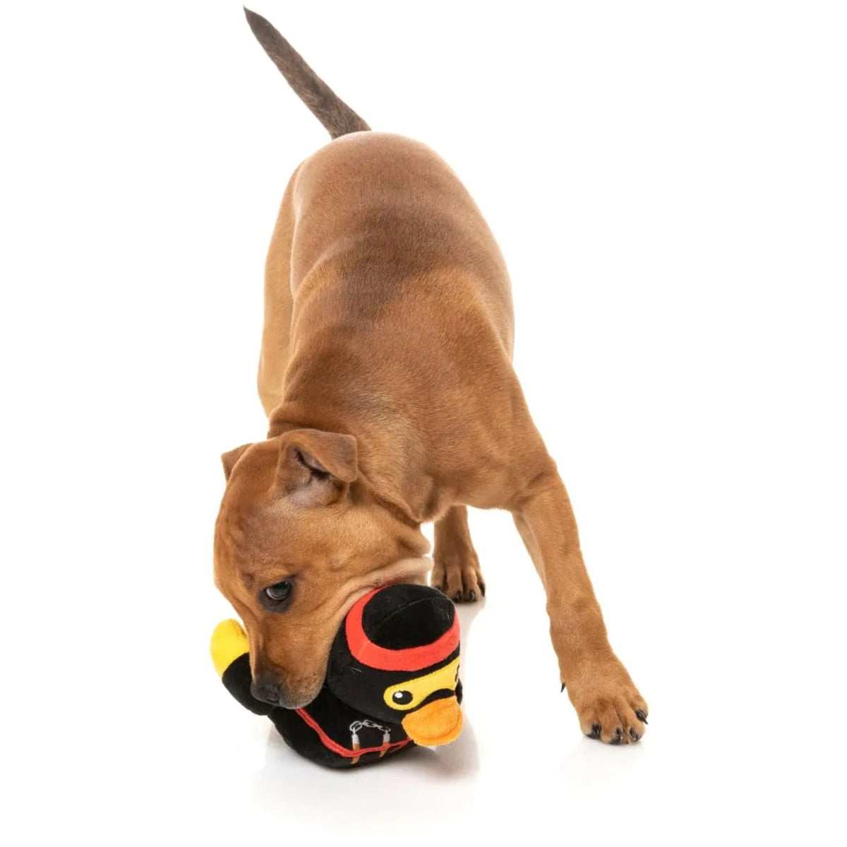 FuzzYard Waddle Squad-dle Quackie Chan