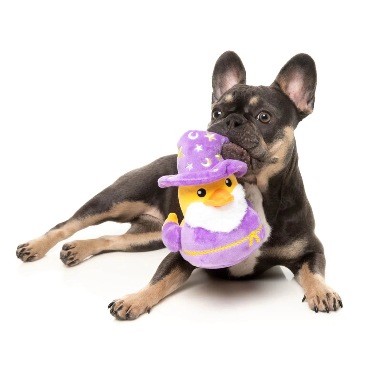 FuzzYard Waddle Squad-dle Sirius Quack